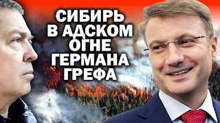 Лесные пожары в Сибири: кто стоит за преступлением века (03.08.2019 14:20)