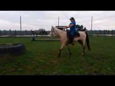 Hit to Play Youtube video Youtube video