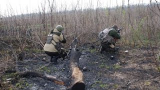 Почему в Украине не начинается партизанская война