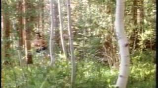 THE CRAWLERS trailer - killer radioactive tree roots flick