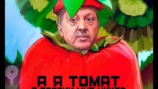 Турецким помидорам не место на российском рынке, заявил глава Минсельхоза