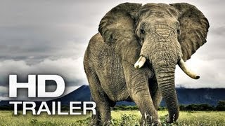 AFRICAN SAFARI 3D Trailer Deutsch German | 2013 Official Film [HD]