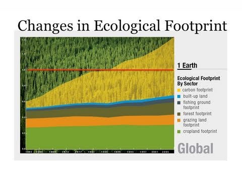Visualizing Our Ecological Footprint