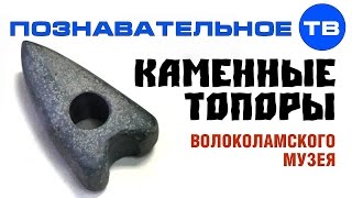 Каменные топоры Волоколамского музея (Артём Войтенков)