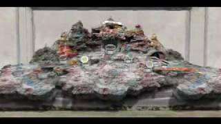 Rod Maxwell's "The Wishing Well" - Trailer