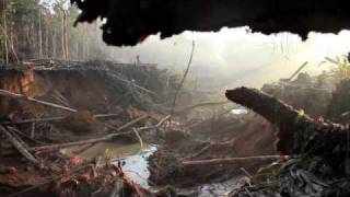 Amazon Gold 4 minute trailer