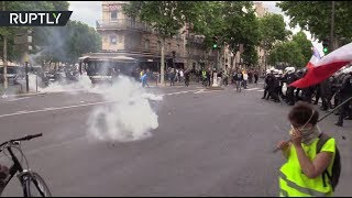 Слезоточивый газ и «свободу Ассанжу»: как во Франции прошла 31-я акция протеста «жёлтых жилетов» (16.06.2019 08:49)