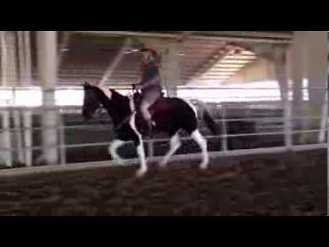 Hit to Play Youtube video Youtube video