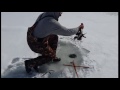 Photo Shocking Ice Fishing Video From Pennsylvania