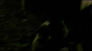 Trailer BERLINER REIGEN