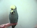9vPTFktSFKY