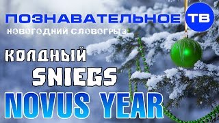 Новогодний Словогрыз: Колдный sniegs Novus year (Артём Войтенков)