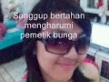 Image Setangkai Bunga Chika Bandung