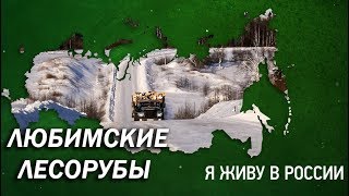 Любимские лесорубы - Проект "Я живу в России"