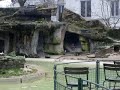 Photo Ghantho Foto Archive Artis Amsterdam Animal Park Foto Alyas Hanna Nr 37