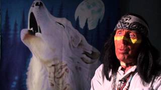 Wolf Documentary Teaser