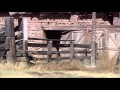 THE PARABLES OF JESUS The Shepherd the Thief and The Doorkeeper Part 11 THE PARABLES OF JESUS The Shepherd the Thief and The Doorkeeper Part 11