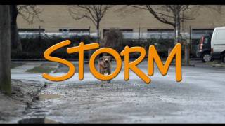 STORM (2009) - Teaser