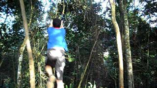 Trailer oficial Tarzan (2011)