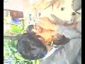 Image Bokep Anak Kampung