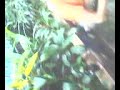 Picture Bokep Anak Kampung