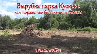 Вырубка парка Кусково как торжество беззакония в Москве