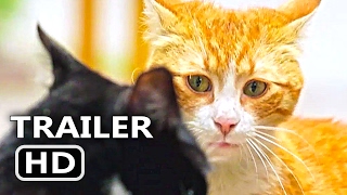 KEDI Official Trailer + Clip (2017) Cats Documentary Movie [HD]