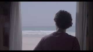 Dolphins Trailer 2014