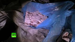 Украинские контрабандисты попытались провезти 20 тонн сала и орехов в Россию
