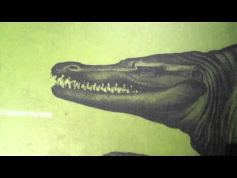 Egoraptor explains Paleontology
