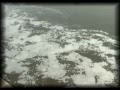 Yamuna - Back to Braj