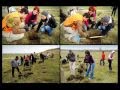 VIDEOCLIP Plantare de toamna pentru Padurea Copiilor - I / noiembrie 2013