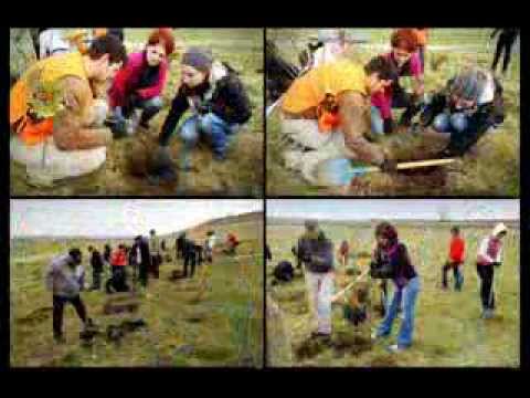 Plantare de toamna pentru Padurea Copiilor - I / noiembrie 2013, 2013