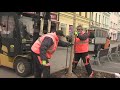 Hlučín: Nové stromy na náměstí