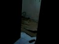 Photo Ngintiip Mamah Lagi Ngewe