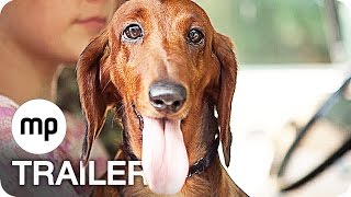 WIENER DOG Trailer German Deutsch (2016) Exklusiv
