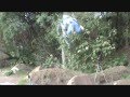 
krip web video
