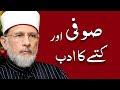 Sufi aur Kutty ka Adab | ____ ___ ___ __ ___ | Shaykh-ul-Islam Dr Muhammad Tahir-ul-Qadri