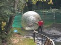 Hydro Zorbing Wipeout