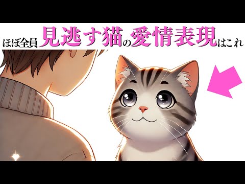 猫の可愛い仕草とユニークな愛情サインについて解説 サムネイル