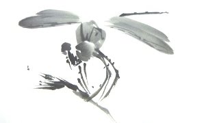 Dragonfly - とんぼ -