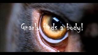 A Wedding and a Killing by Lauren Carr (Book Trailer)