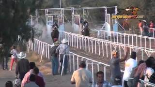 carreras caballo cuarto de milla - YouTube carreras caballo cuarto de milla - YouTube