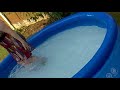 annie in the pool.mp4