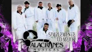 Alacranes Musical Te Juro Que Te Amo Youtube youtube