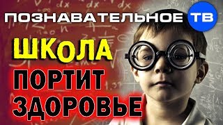 Врач честно: Как школа портит здоровье детям (Игорь Колотупов)