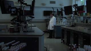 Beyond the Basement Door (Trailer) Beyond the Basement Door (Trailer)