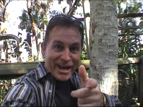 Tree Hugger and Flor
Tree Hugger and Flor