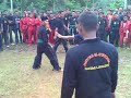 Image Sabung Silaturrahmi Pagar Nusa Ponorogo