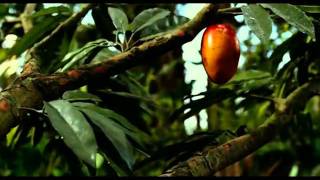 Muži v naději - Oficiální trailer © Bontonfilm